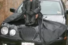 Mz Fawn BDSM Dominatrix sitting on Jaguar